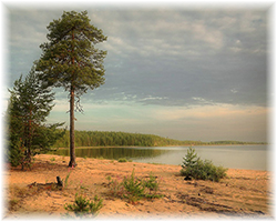 Северная Карелия берег озера Лимсозеро